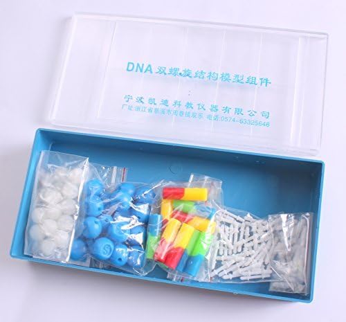 DNA gene model assembly parts (two sets) biomedical learning materials laboratory exhibition structure also described in such as the L985