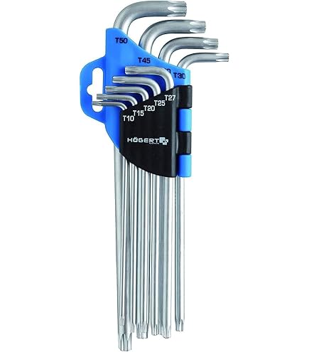 Jeu De 9 Clés Torx Extra-longues Avec Perforation - Marque BGS Technic - Référence 11413 - Neuf