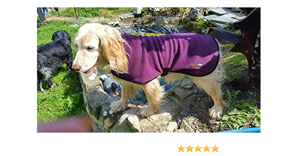 equafleece for dogs amazon