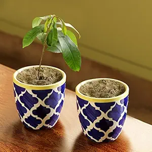 ExclusiveLane The Two Morocco Round Ceramic Flower Pot Container Set (11.4 cm x 11.4 cm x 11.2 cm, Set of 2, Blue, EL-021-017)