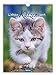 Produktbild Notizkalender "Liebste Katzen" 2019 Wandkalender als Tierkalender Küchenkalender: Mit Ringbindung