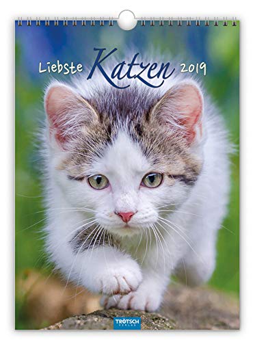 Preisvergleich Produktbild Notizkalender "Liebste Katzen" 2019 Wandkalender als Tierkalender Küchenkalender: Mit Ringbindung