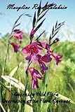 Image de Guernsey Wild Flora: Guernesey et sa Flore Sauvage