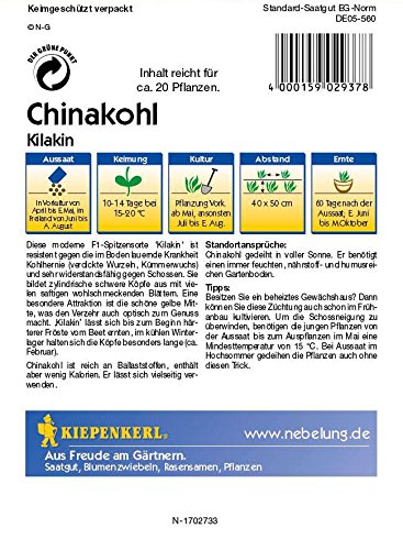 Chinakohl Kilakin - 2