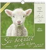 Sei behütet auf allen Wegen 2020: Impulse und Gedanken aus Psalm 23 - Jubiläumsausgabe by
