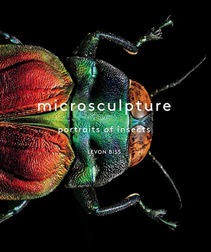 Télécharger Microsculpture : Portraits of insects Livre eBook France