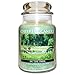 Produktbild A Cheerful Giver Fröhliche dem Geber CC30 in the Park Jar Kerze, 24 oz, braun