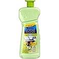 Loyal Multi-Purpose Household Deodorizer Concentrated Gel, Spring Flowers, 2100ml