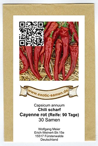 Wohl eine der berühmtesten Chili-Sorten – Cayenne-Chili – 30 Samen - 2