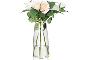 HYCKee Clear Flower Vase for Home Décor, Modern Glass Vases for Flower 22cm,Larege vase for centerpieces Living Room, Entry & Table Decorative Tall vase (Clear)