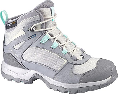 Preisvergleich Produktbild Salomon Wasatch TS WP Damenschuhe 8 (42)