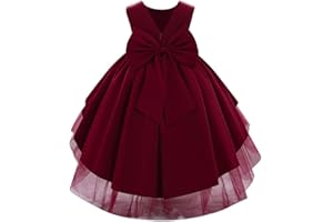 IBAKOM Bébé Filles Petits Enfants élégant sans Manches col en V Bowknot Satin Formelle fête Mariage Demoiselle d'honneur Communion baptême Princesse Robe de Bal