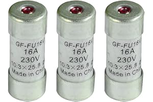 GEFOM 400099 3 FUSIBLES A VOYANT 16A, Blanc