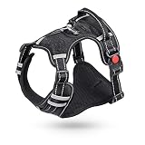【Reflective Strap】Dank reflektierender Materialien von 3M, die Ihren Hund im Dunkeln sichtbar machen, ist dieser Gurt ideal für nächtliche Spaziergänge.