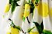 YOMIYOKA Baby Girls 6 Months - 3 Years Lemon Sling Flower Wedding Princess Bowknot Party Dress (2 Years, Yellow)