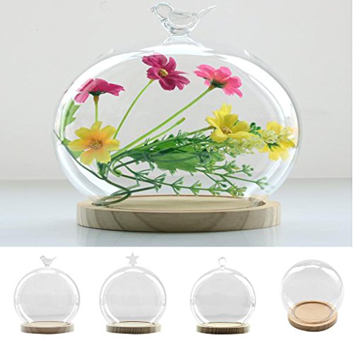 MagiDeal Deko Glasglocke mit Holzboden , Transparent Glas Behälter Micro Landschaft Garten DIY Terrarium Container Dekoration – mit kleinen Kugel, 15x18cm - 6
