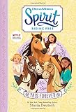  Spirit Riding Free: PALs Forever