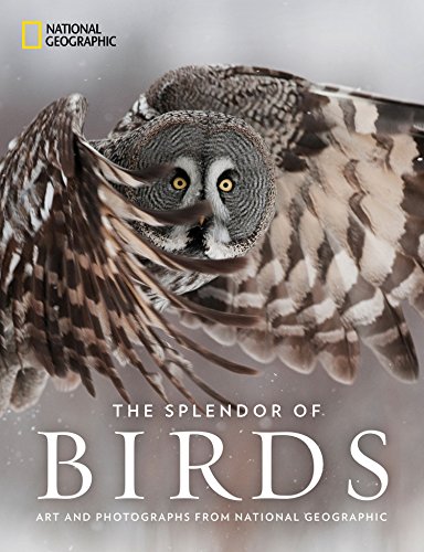 Preisvergleich Produktbild The Splendor of Birds: Art and Photographs From National Geographic