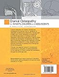 Image de Cranial Osteopathy for Infants, Children and Adolescents: A Practical Handbook, 1e