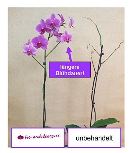 Bio Orchideendünger – Tee für Pflanzen - 7