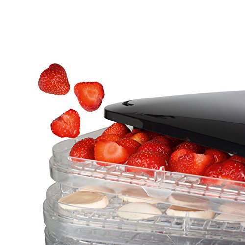 Imagen 2 de Princess 01.112380.01.001