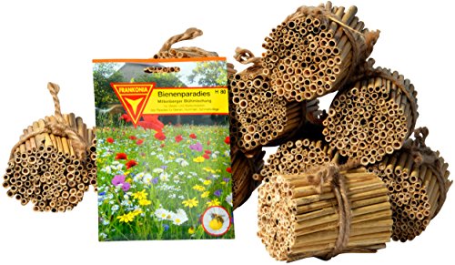 Luxus-Insektenhotels 22690e Schilfrohrhalme Set plus Samenmischung „Bienenparadies“, 35 Sorten, circa 1000 Stück, 9 cm lang - 3