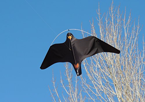 Preisvergleich Produktbild SCHWARZ FALKE VOGELSCHEUCHE (Teleskopmast 7mts)