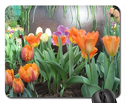 Preisvergleich Produktbild Sunny Spring Day Mauspad, Mousepad (Blumen Mauspad) #030