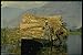Produktbild 071099 Boatload Of Crops Dal Lake Srinagar Kashmir A4 Photo Poster Print 10x8