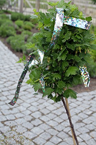 WRPS Vogel- und Wildschreckband 1×100 Meter + 1x 50 Meter – vertreibt schonend störende Vögel und Wildtiere - 5