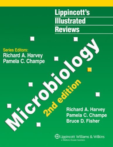 Microbiology (Lippincott's Illustrated Reviews Series) by Pamela C. Champe (2006-07-01) gratuit Microbiology (Lippincott's Illustrated Reviews Series) by Pamela C. Champe (2006-07-01) gratuit