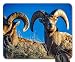 Produktbild Mouse Pads - Bighorn Sheep Rams Wildlife Animals Pair Horns
