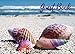 Produktbild Guest Book: Beach Rainbow Shells | Sign In Book | Party, Events, Wedding, Showers, Graduation, Birthday, Anniversary, Retirement, Vacation or Guest Home