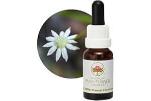 Little Flannel Flower 15 ml Stockbottle Australian Bush Flower Essences