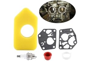 Hztyyier Juego de Juntas de diafragma de carburador Juego de bujías de Filtro de Aire para Motores pequeños Briggs Stratton Reemplace 281028 495770 795083 694394 494408