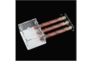 KXCR Acryl Ameisennest 3 Reagenzgläser Ameisenfarm Haustier Ameisenhaufen Natürliches Ökologisches Formicarium Villa Haus Ameisen Futterbox Werkstatt (Color : E)