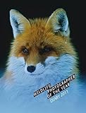 Wildlife Photographer of the Year Desk Diary 2011 by