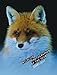 Wildlife Photographer of the Year Desk Diary 2011 by