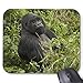 Produktbild Volcanoes National Park, Mountain Gorilla Mouse Pad 26cm*21cm