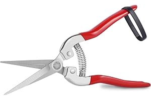 RAYITO Professionall Pruning Scissors, Stainless Steel Garden Secateurs & Pruning Scissors Small Multi-Purpose Pruning Shears for Plants Flowers Fruits Vegetables(7.87inch)