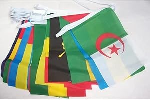 AZ FLAG - Guirlande Drapeau 54 pays d'afrique - 16 Mètres Avec 54 Fanions Pays Africain De 21x14 cm - Petits Drapeaux 100% Polyester - 160g