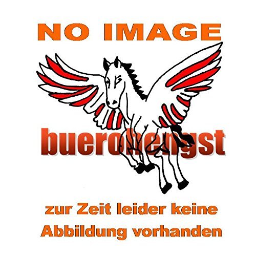 View A4 mit 100 Hüllen und Taschen vorne schwarz