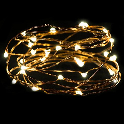 WINWINTOM 2M 20 LED-Knopf-Zellen-angetriebene Draht-mini feenhafte Schnur-Lichter (Warm Weiß) - 6