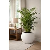 KastaSaksı Modern İ&ccedil; ve Dış Mekan 40x30 cm Beyaz Plastik Dekoratif Yuvarlak Saksı