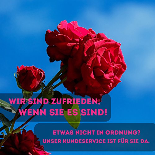 50x Verzinkte Federstahl Gewächshausklammern – Glasklemmen Klammern Perfekt für Gewächshaus & Glashaus – Gewächshaus Zubehör Clips - 5