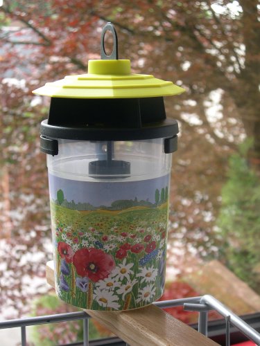 Silva Wespenfalle Country