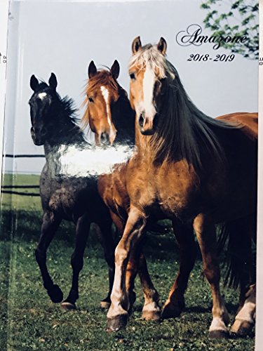 Download agenda scolaire cheval 2017 2018