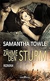 Zähme den Sturm (The Storm 3)