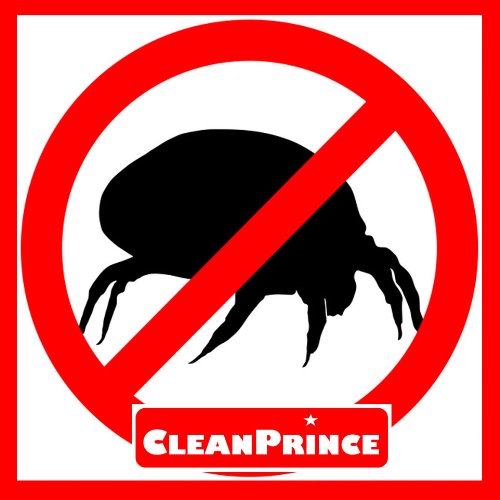 CleanPrince Anti-Milben-Spray 250 ml Ungeziefer Bett Hautschuppen Milbenspray Anti Milbe Milben Milbenex Milbenentferner Matratzen Reiniger Reinigung Hygiene gegen Milben Bettmilben Bettwanzen Wanzen Ungeziefer - 2
