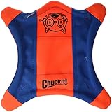 Chuckit. Flying Eichhörnchen